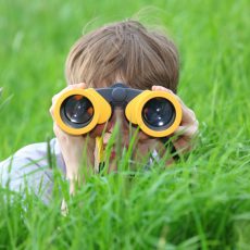 Junge mit Fernglas auf der Wiese Junge mit Fernglas auf der Wiese